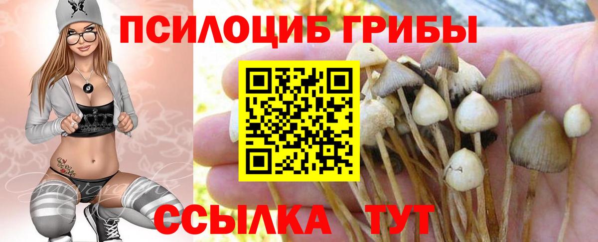 Галлюциногенные грибы прущие грибы Пенза